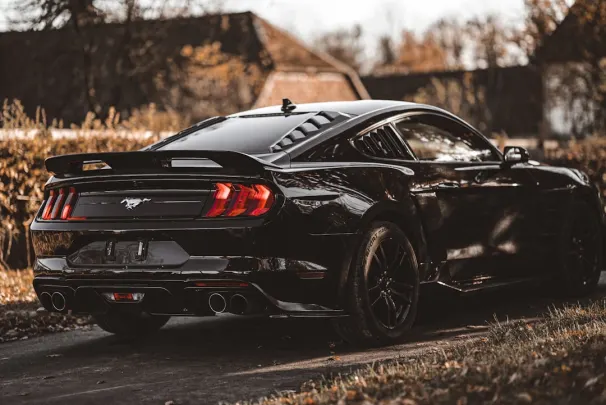 Bizz Kazino Android/iOS programa